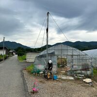 画像1426