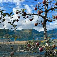 画像1439