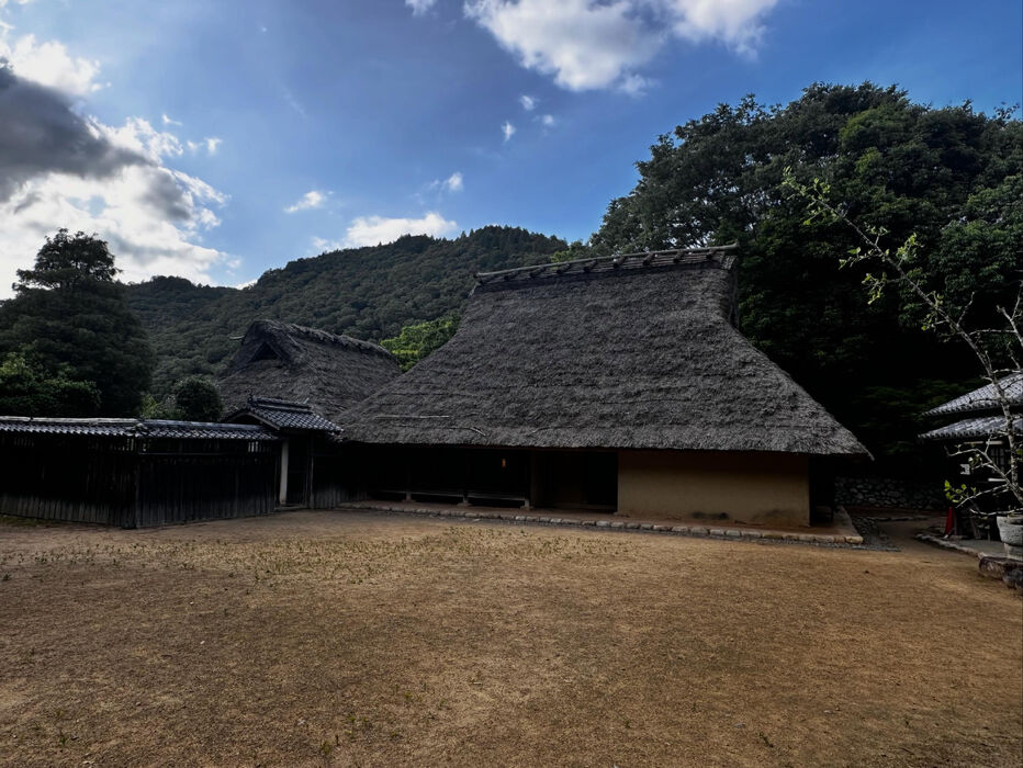 画像1539